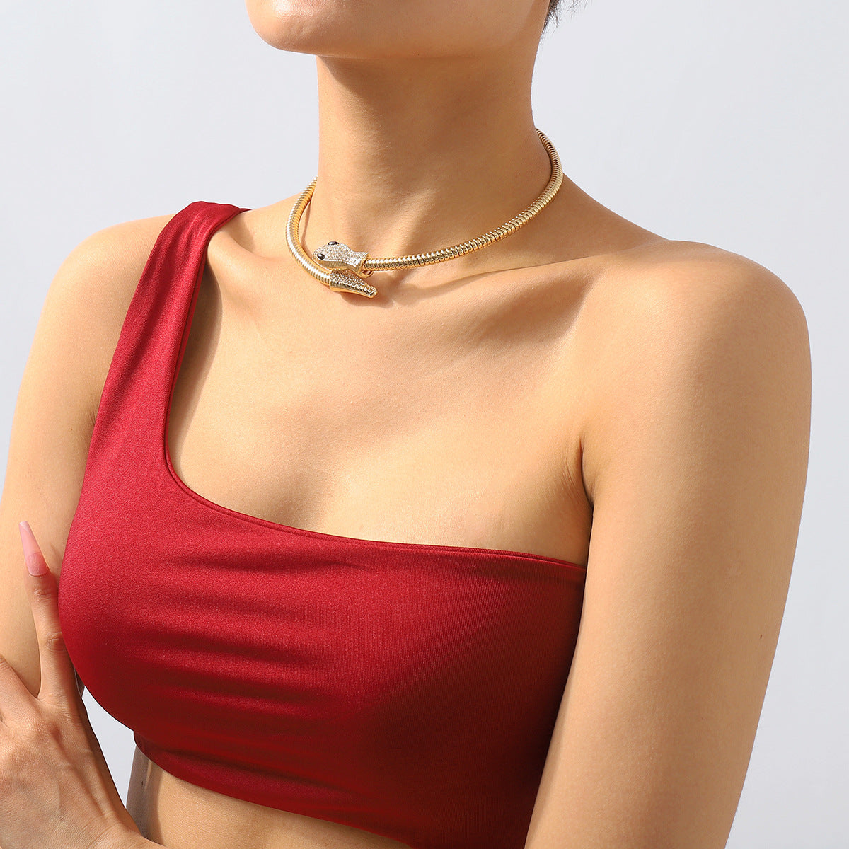 Exaggerated Snake Necklace Punk Personality Hip-Hop Style Necklace Trendy Cool Street Style Show Micro-Inlaid Choker