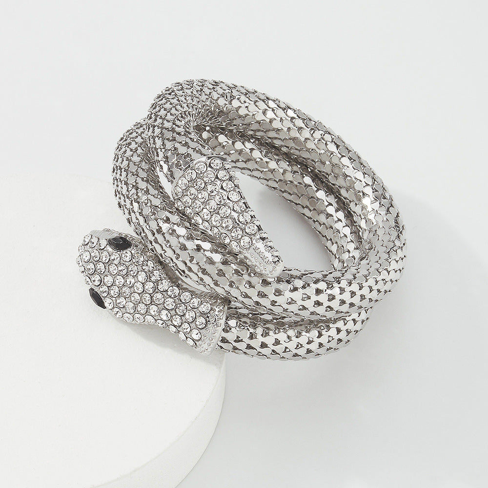 Exaggerated Snake Necklace Punk Personality Hip-Hop Style Necklace Trendy Cool Street Style Show Micro-Inlaid Choker