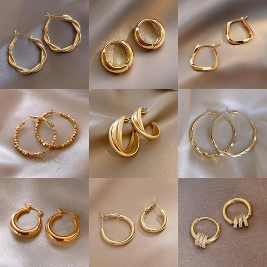 Metal Big Circle Earrings Women's Hong Kong Fashion Women's Ear Jewelry S925 Silver Needle