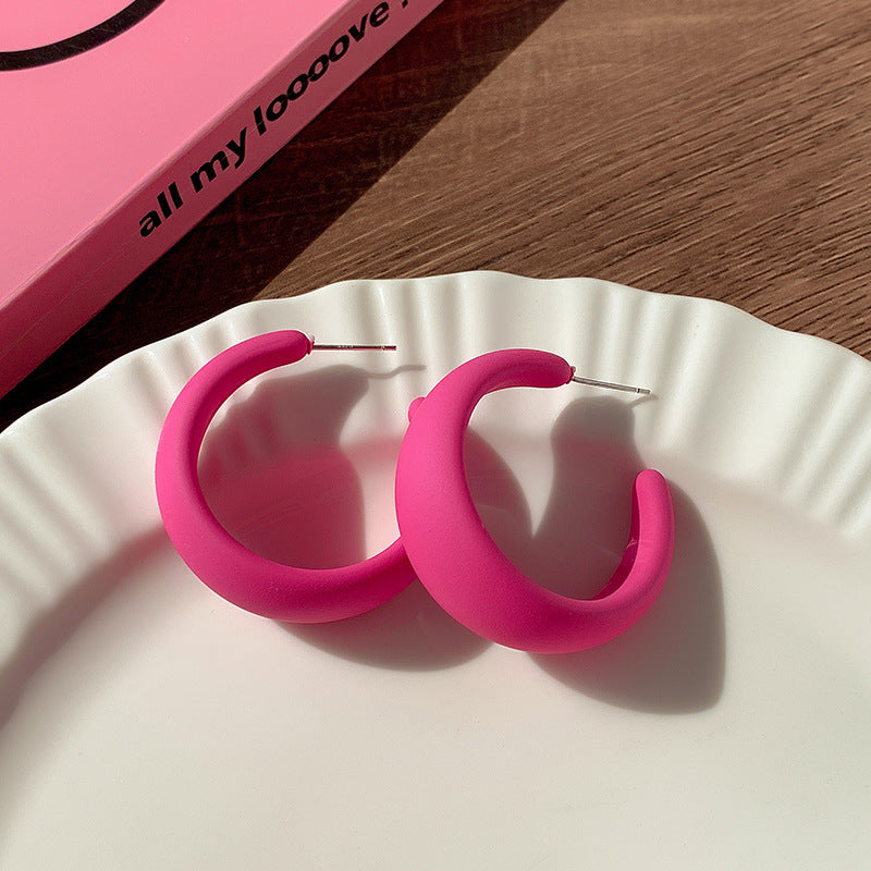 High-grade dopamine rose red earrings female niche design earrings net red pink earrings