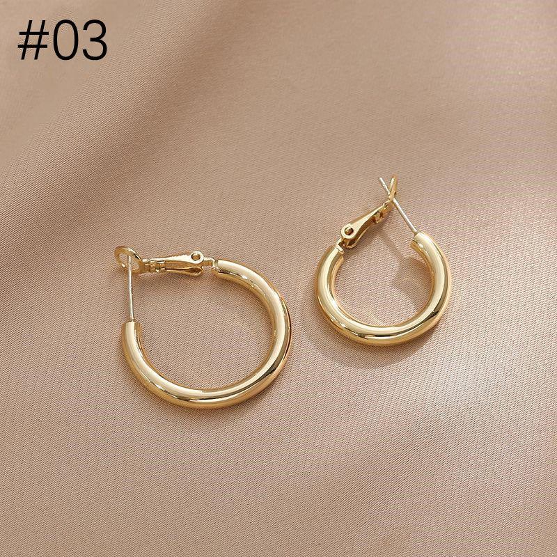 Metal Big Circle Earrings Women's Hong Kong Fashion Women's Ear Jewelry S925 Silver Needle