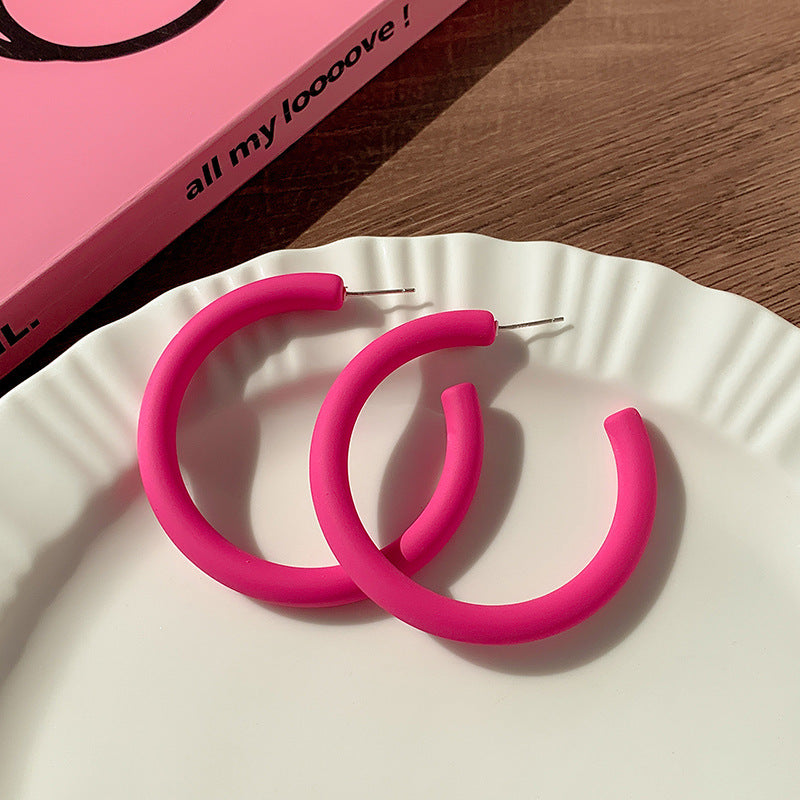 High-grade dopamine rose red earrings female niche design earrings net red pink earrings