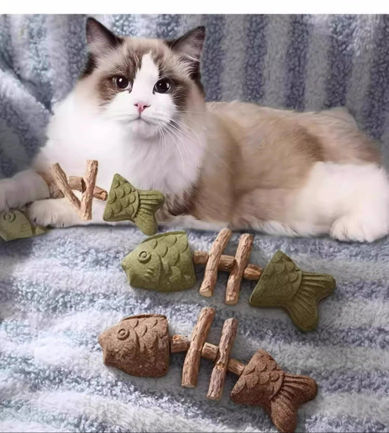 Cat Toy Fish Bone Wooden Polygonum Teething Stick Realistic Fish Teeth Cleaning Stick Self-Entertainment Toy Creative Grilled Fish Teaser Stick