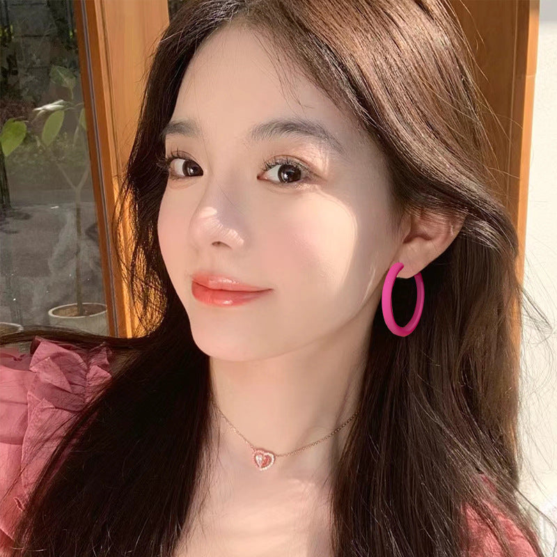 High-grade dopamine rose red earrings female niche design earrings net red pink earrings