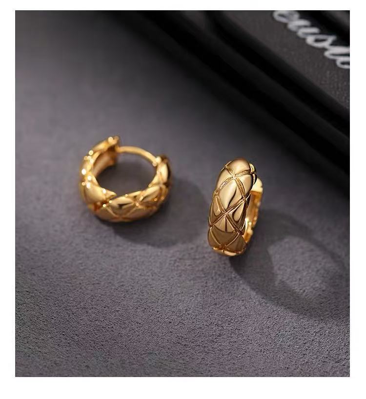 925 Silver Needle Liu Yifei Style Circle Earrings Light Luxury Studs 2025 New High-end Women's Earrings