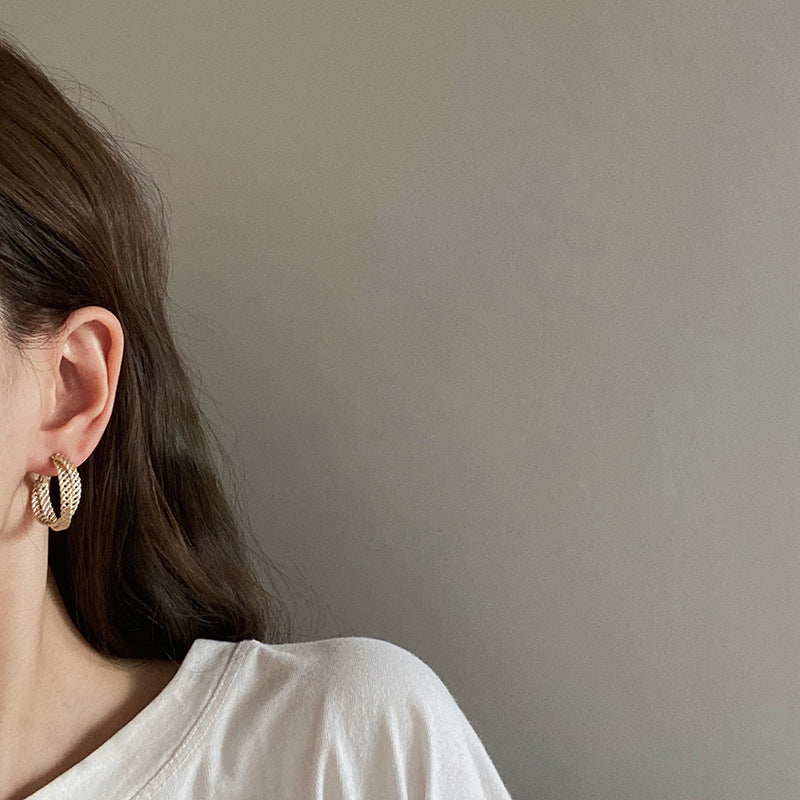 Metal Big Circle Earrings Women's Hong Kong Fashion Women's Ear Jewelry S925 Silver Needle