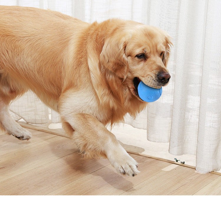 Dog Biting Molars Relieving Stuffy Ball Bite-Resistant Solid Elastic Dog Toy Training Ball TPR Throwing Toy Ball