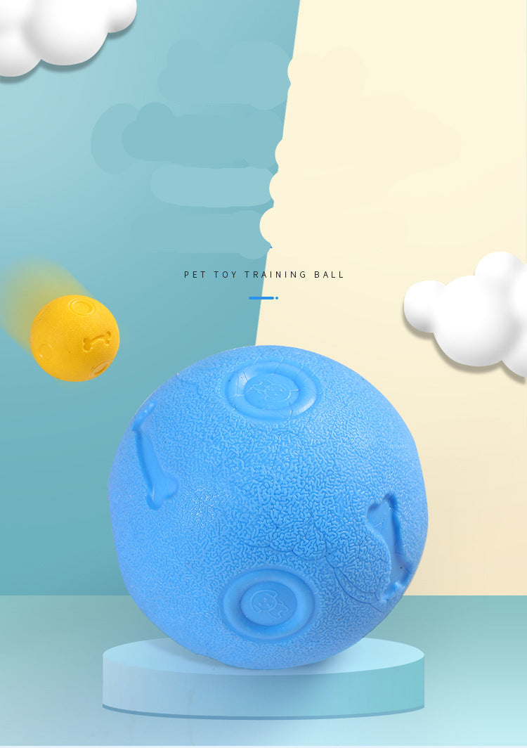 Dog Biting Molars Relieving Stuffy Ball Bite-Resistant Solid Elastic Dog Toy Training Ball TPR Throwing Toy Ball