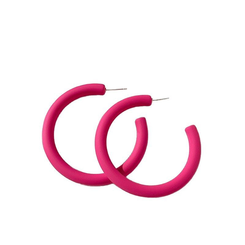 High-grade dopamine rose red earrings female niche design earrings net red pink earrings