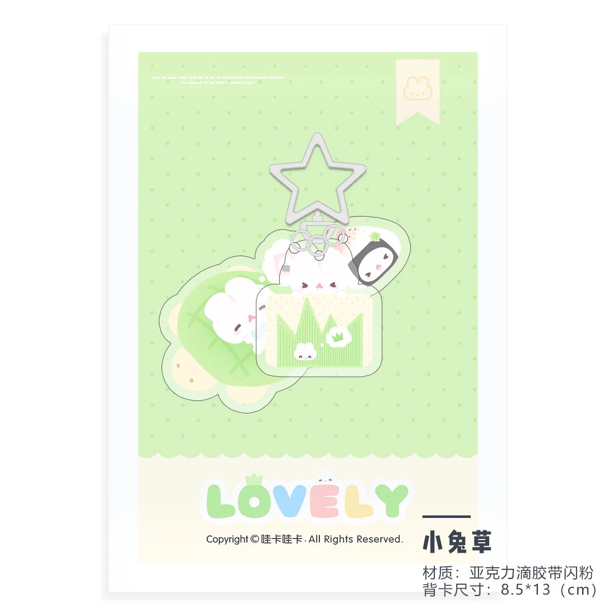 WAKAWAKA Charm Resin Acrylic  Phone Charm with Star Decal Book Phone Lanyard Keyring Keychain Wing Heart Phone Strap