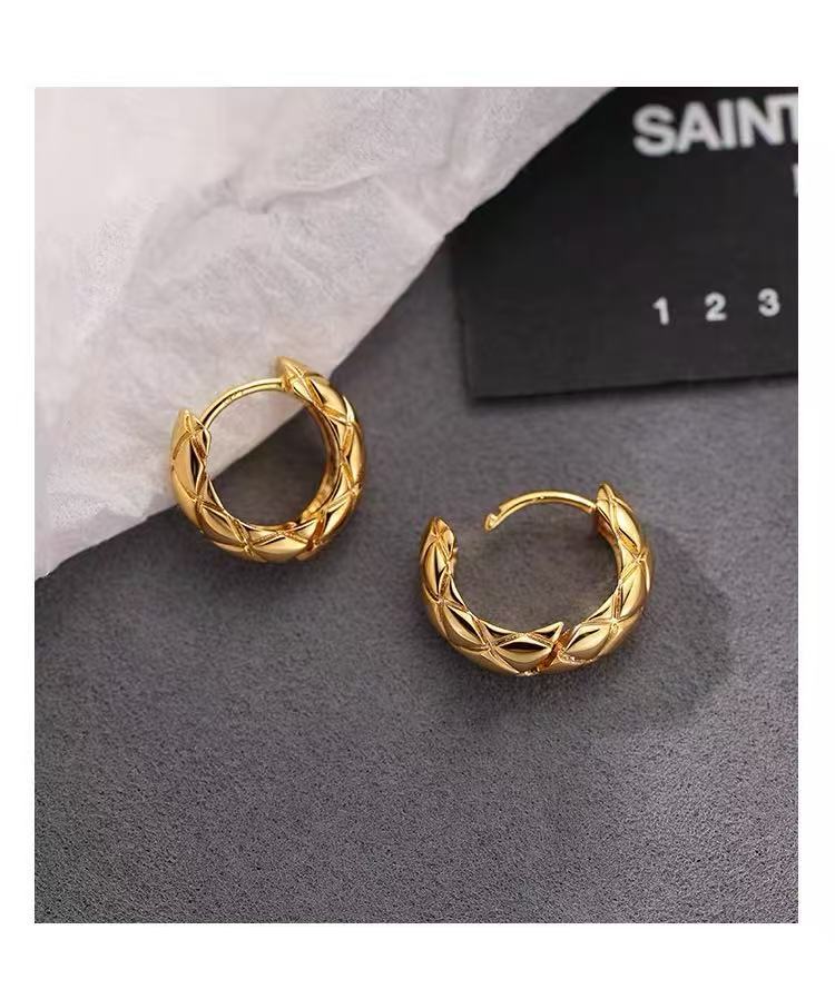 925 Silver Needle Liu Yifei Style Circle Earrings Light Luxury Studs 2025 New High-end Women's Earrings