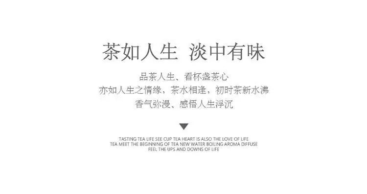 Leopard coffee cup/birthday gift/milk tea cup