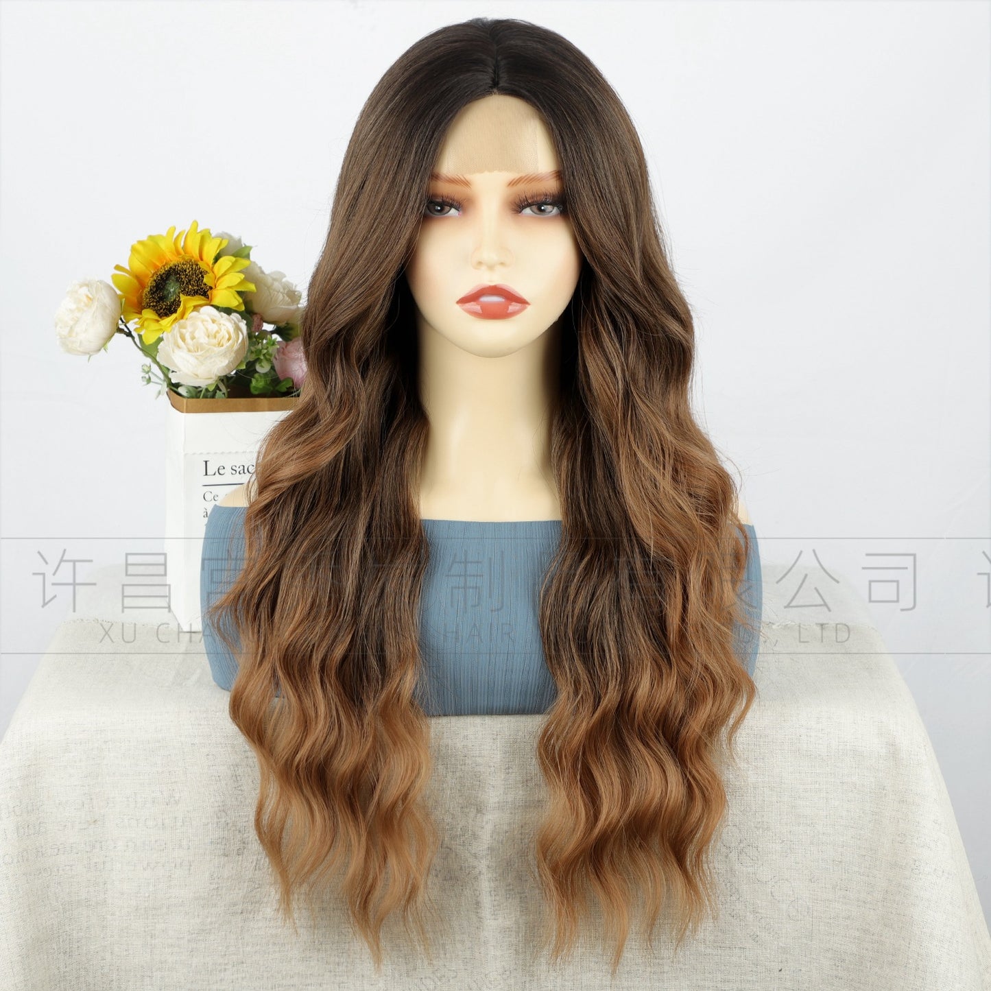Lace Front Wig for Women, Middle Part, Small Lace, Highlighted Long Curly Synthetic Wig, Export Wigs