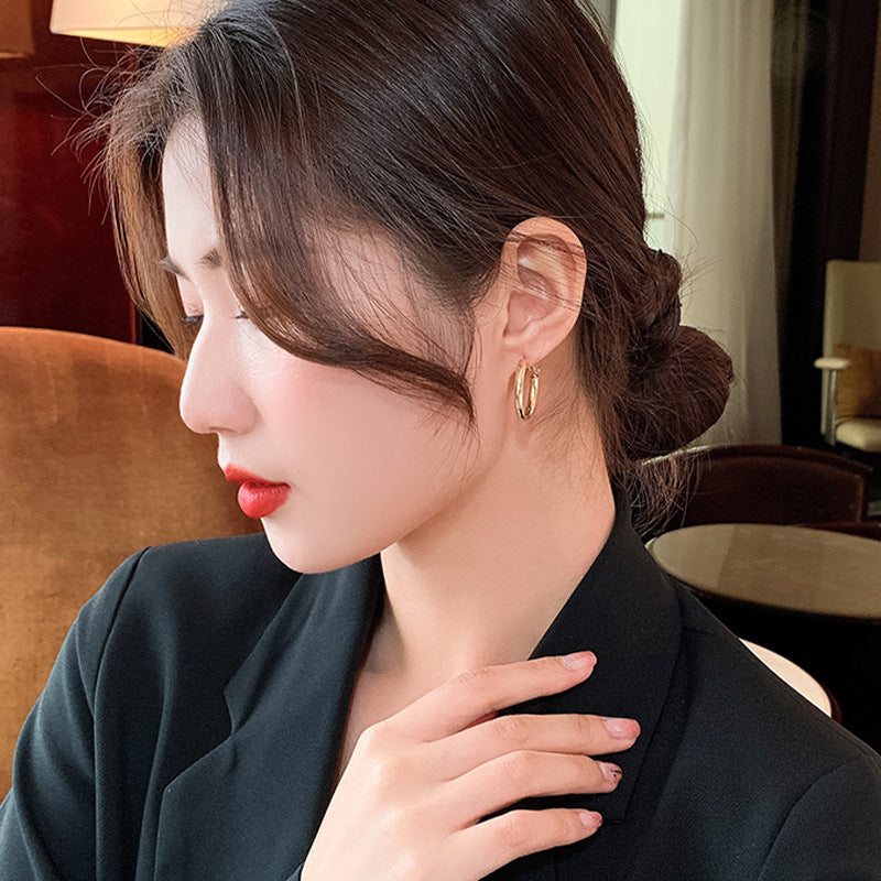 Metal Big Circle Earrings Women's Hong Kong Fashion Women's Ear Jewelry S925 Silver Needle