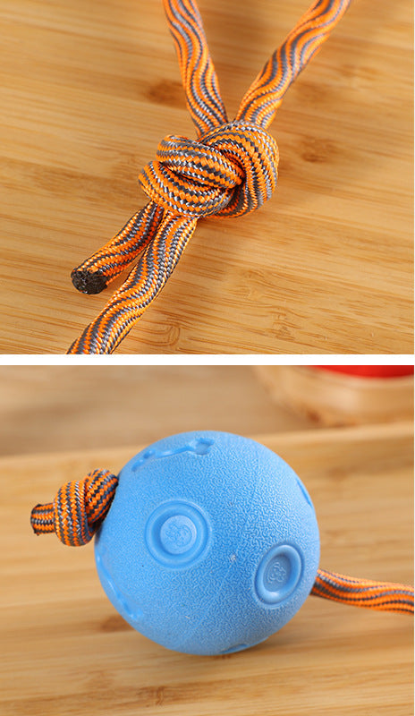 Dog Biting Molars Relieving Stuffy Ball Bite-Resistant Solid Elastic Dog Toy Training Ball TPR Throwing Toy Ball