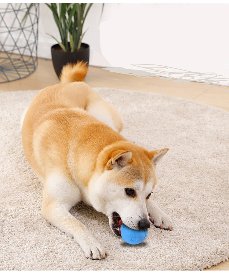 Dog Biting Molars Relieving Stuffy Ball Bite-Resistant Solid Elastic Dog Toy Training Ball TPR Throwing Toy Ball
