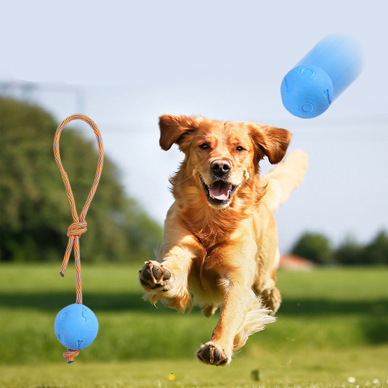 Dog Biting Molars Relieving Stuffy Ball Bite-Resistant Solid Elastic Dog Toy Training Ball TPR Throwing Toy Ball