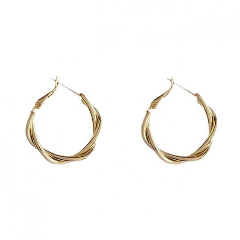Metal Big Circle Earrings Women's Hong Kong Fashion Women's Ear Jewelry S925 Silver Needle