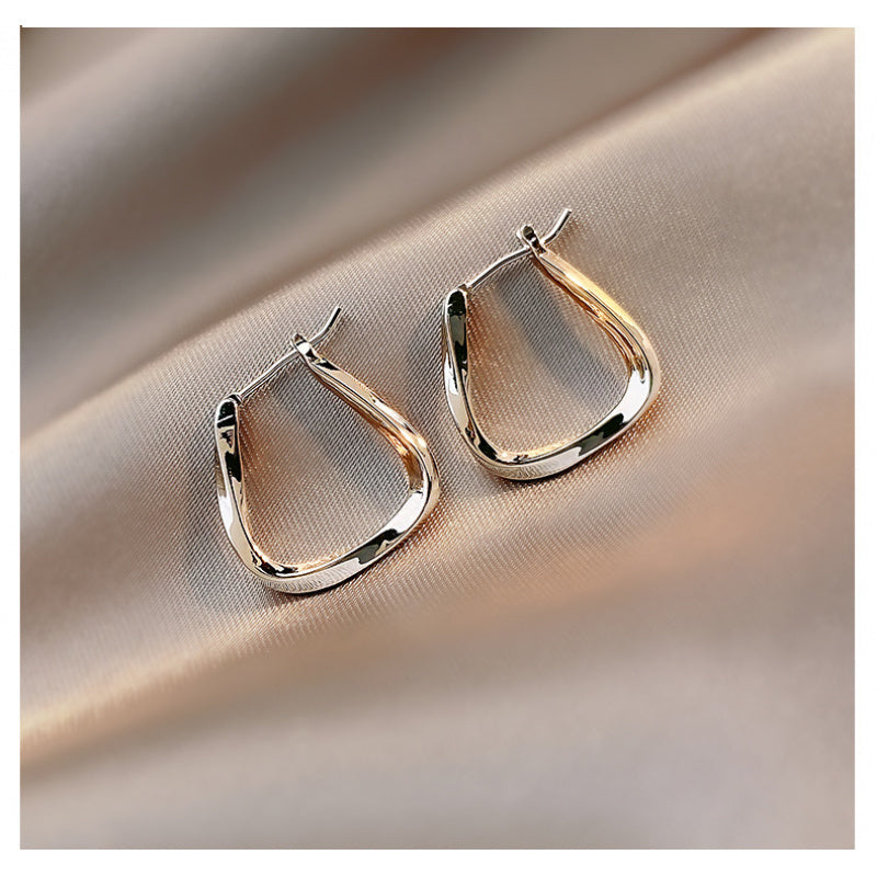 Metal Big Circle Earrings Women's Hong Kong Fashion Women's Ear Jewelry S925 Silver Needle