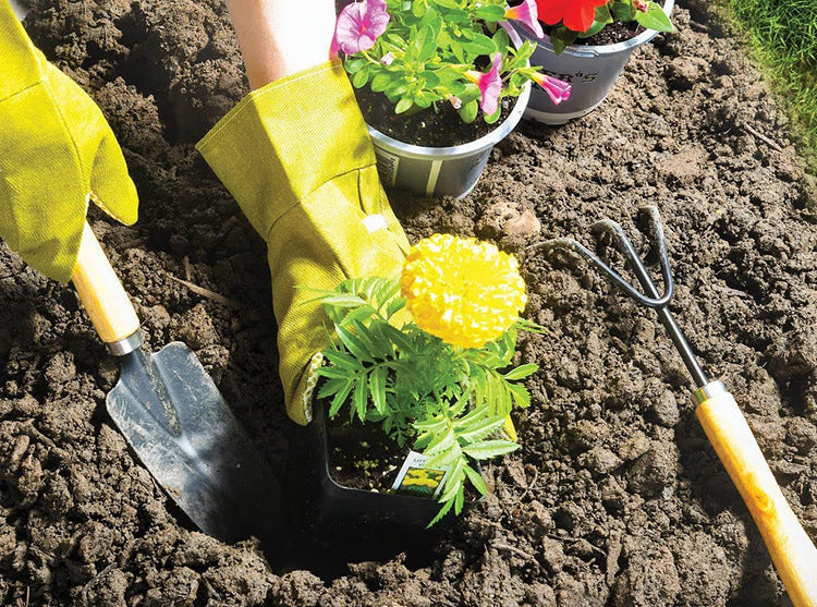 Amazon Gardening Tool Set Garden Tool Kit Scissors Gift 9-Piece Outdoor Garden Tool Set