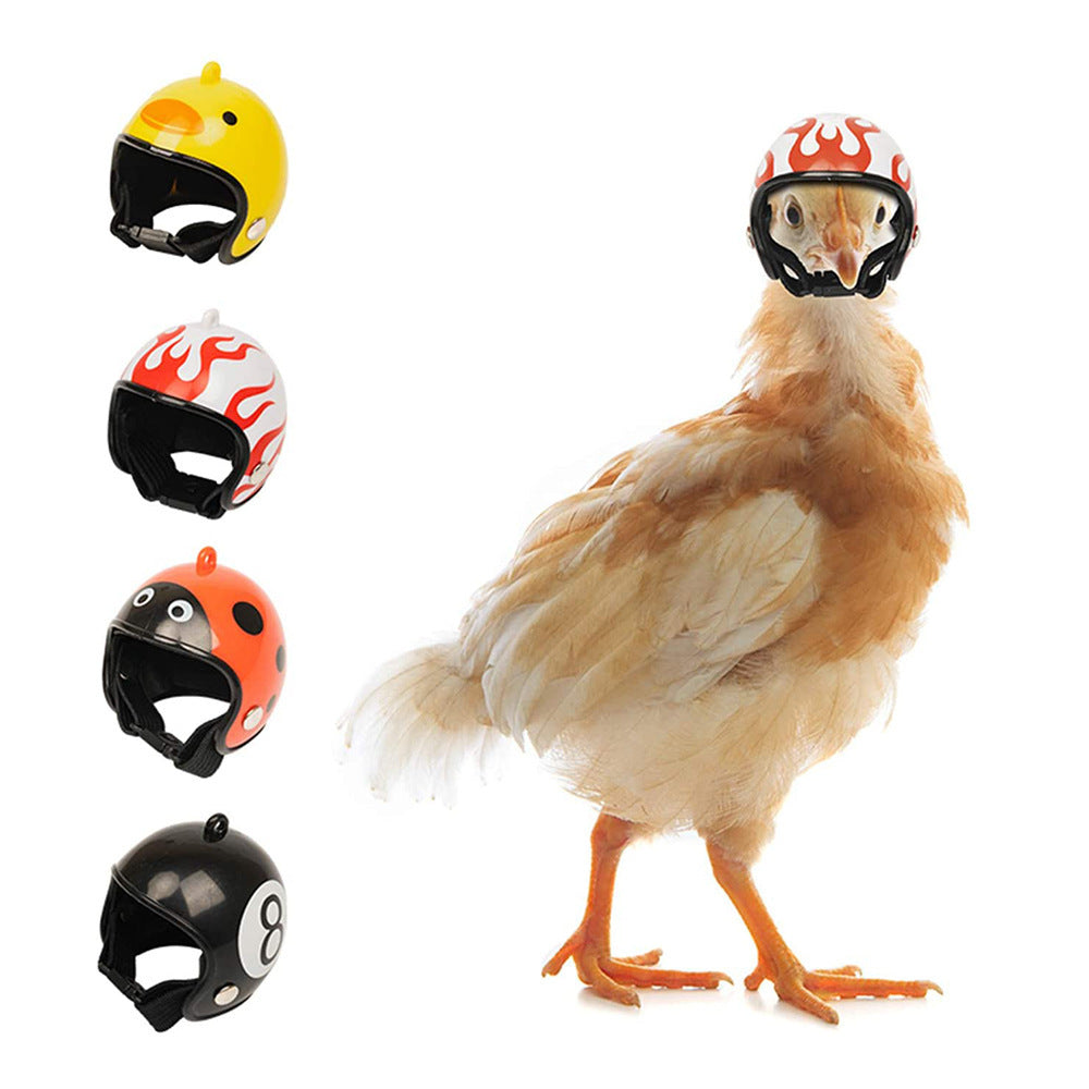 Creative Cross-Border New Pet Supplies Protective Chicken Helmet Chick Hen Hat Bird Hat Head Cover Manufacturer In Stock
