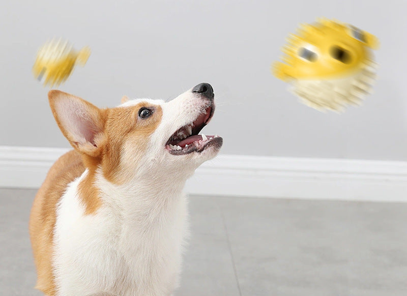 Bungee Fish Dog Toy Food Dispensing Ball Self-Entertainment Teeth Grinding Durable Sound Ball for Small and Large Dogs Pet Supplies