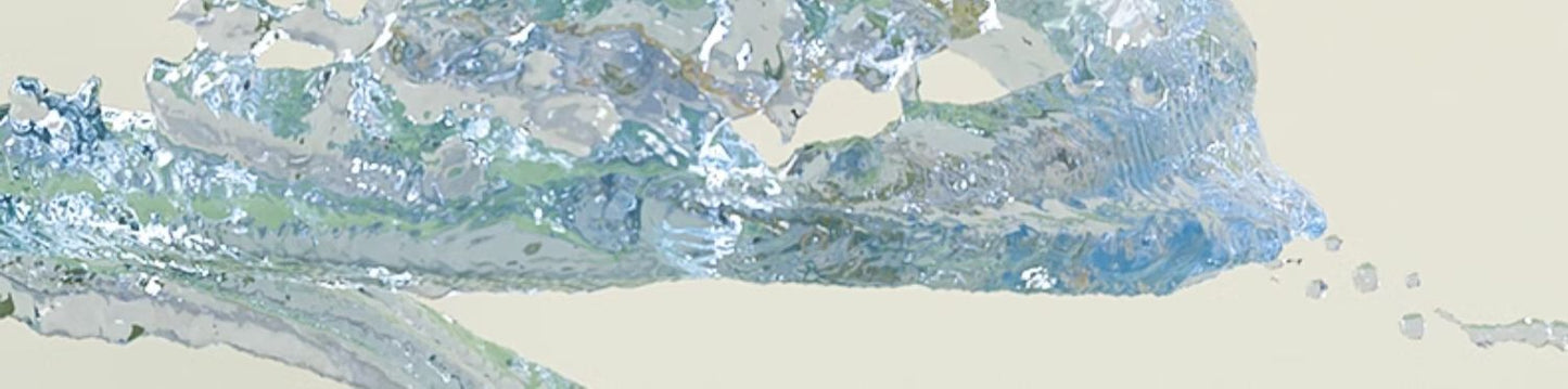 Bungee Fish Dog Toy Food Dispensing Ball Self-Entertainment Teeth Grinding Durable Sound Ball for Small and Large Dogs Pet Supplies