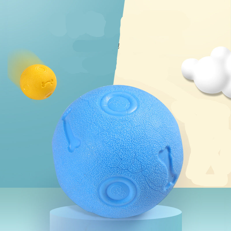 Dog Biting Molars Relieving Stuffy Ball Bite-Resistant Solid Elastic Dog Toy Training Ball TPR Throwing Toy Ball