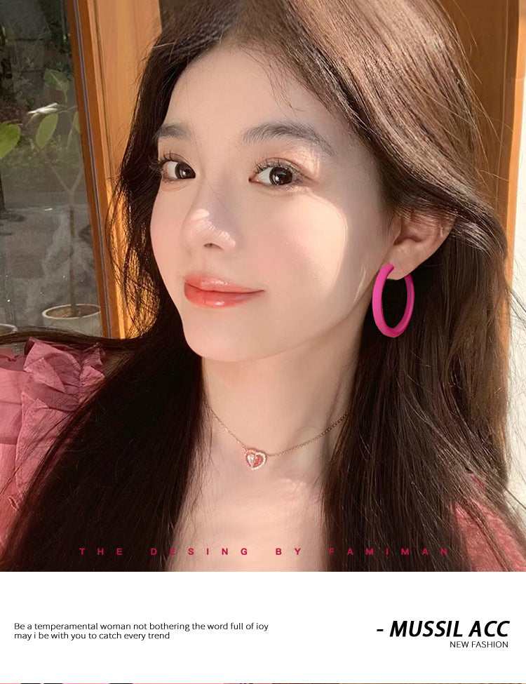 High-grade dopamine rose red earrings female niche design earrings net red pink earrings