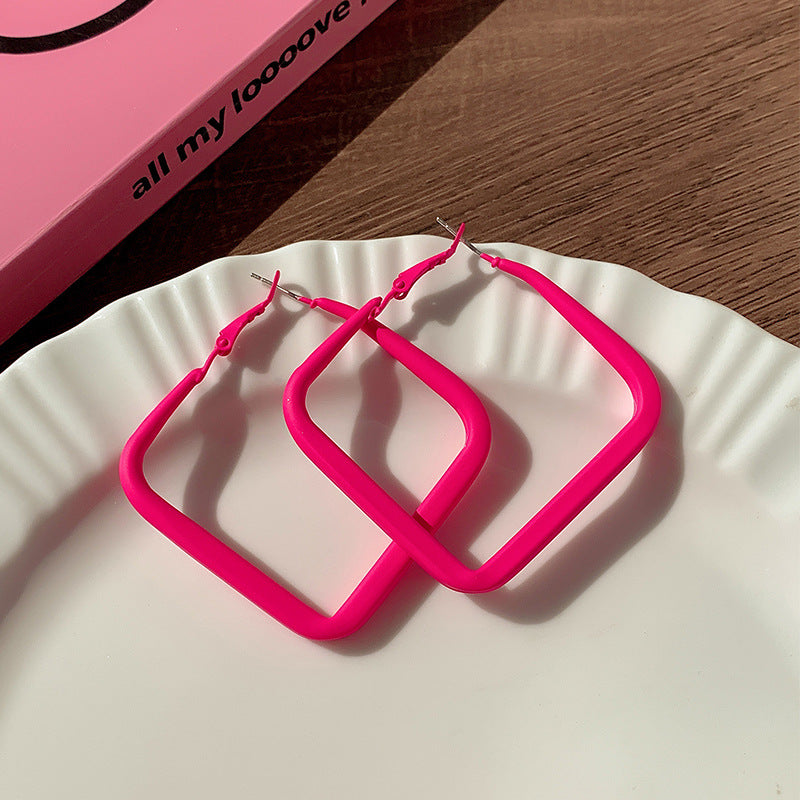 High-grade dopamine rose red earrings female niche design earrings net red pink earrings