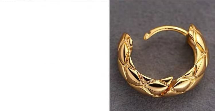 925 Silver Needle Liu Yifei Style Circle Earrings Light Luxury Studs 2025 New High-end Women's Earrings