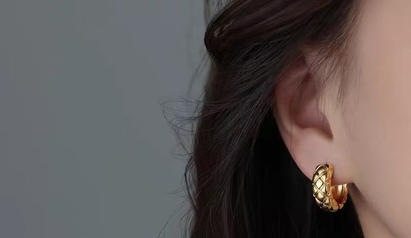 925 Silver Needle Liu Yifei Style Circle Earrings Light Luxury Studs 2025 New High-end Women's Earrings