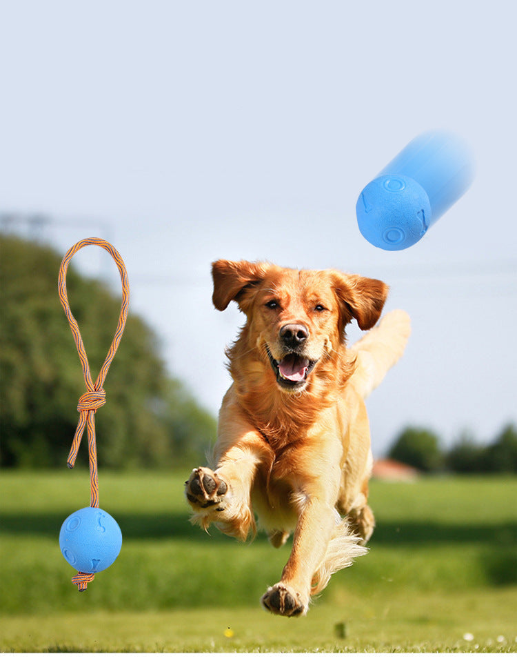 Dog Biting Molars Relieving Stuffy Ball Bite-Resistant Solid Elastic Dog Toy Training Ball TPR Throwing Toy Ball