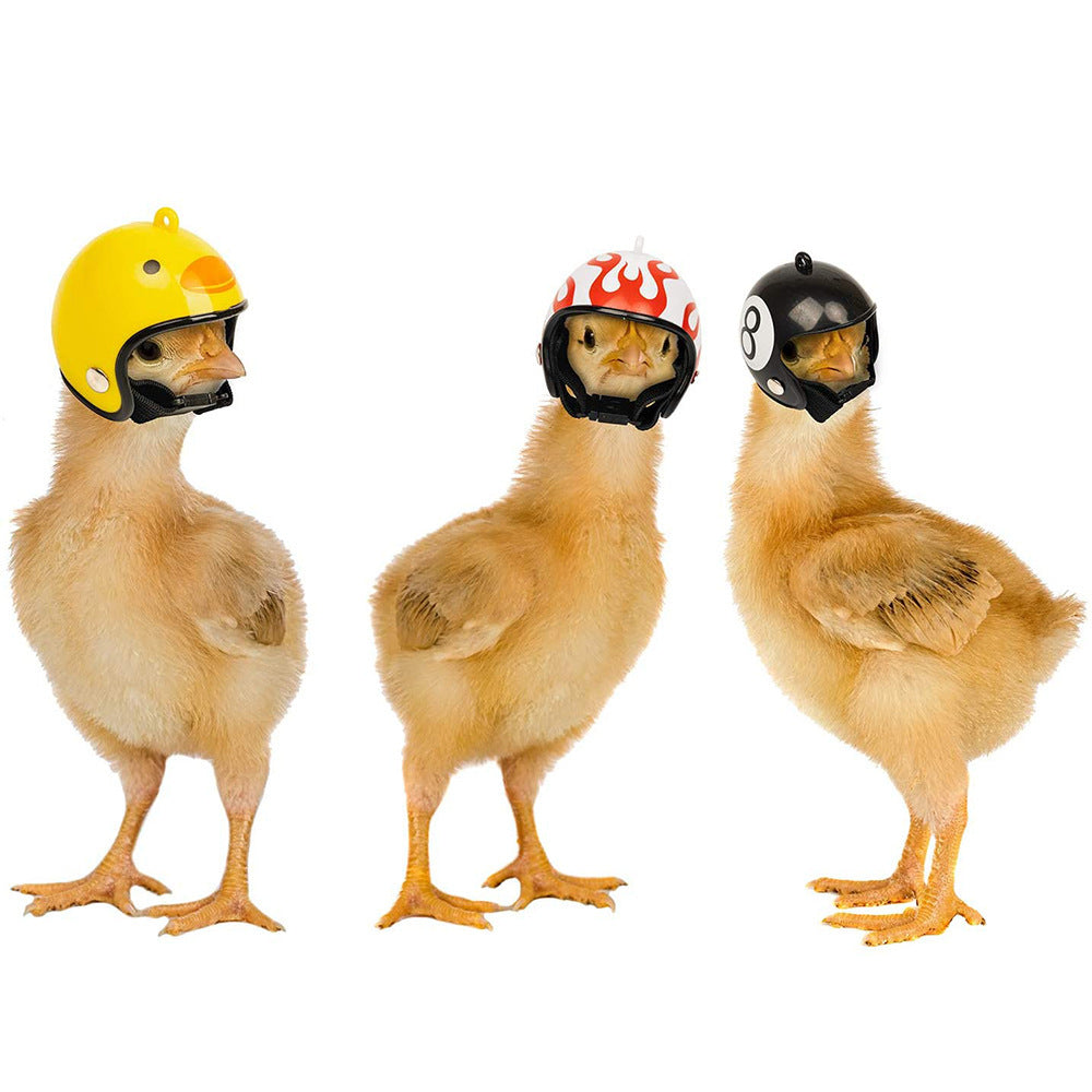 Creative Cross-Border New Pet Supplies Protective Chicken Helmet Chick Hen Hat Bird Hat Head Cover Manufacturer In Stock